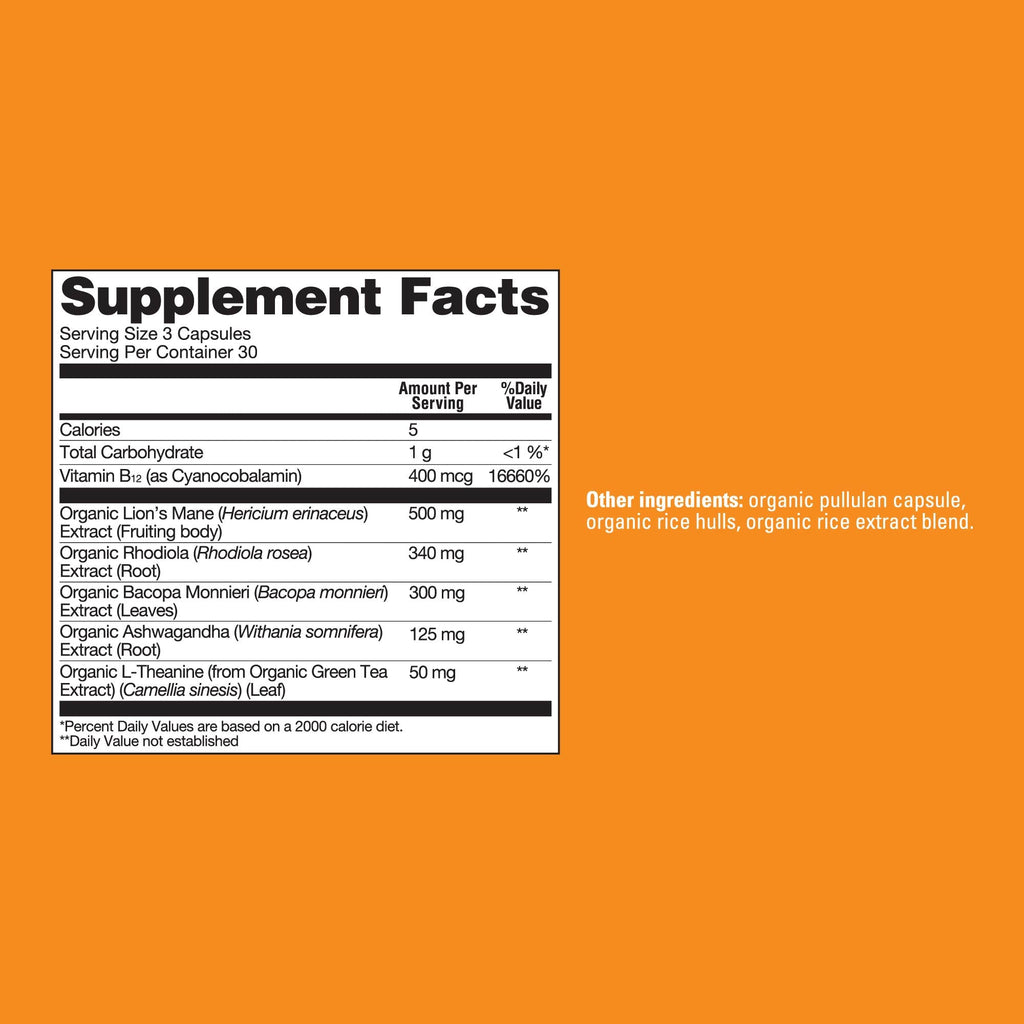 Focus Capsules - Focus Mushroom Supplement Capsules