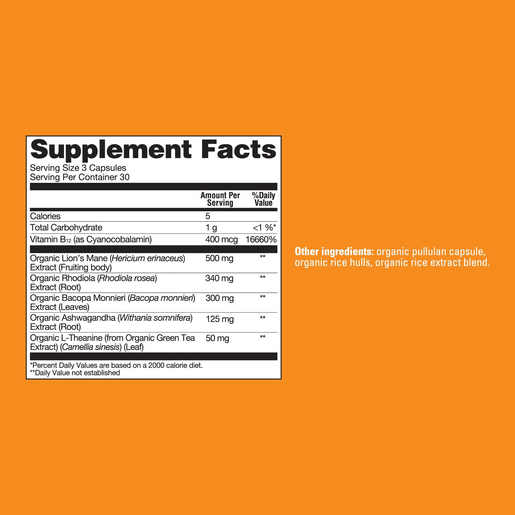Focus Capsules - Focus Mushroom Supplement Capsules