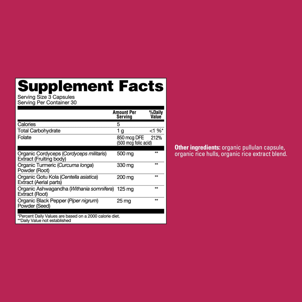 Memory Capsules - Memory Mushroom Supplement Capsules