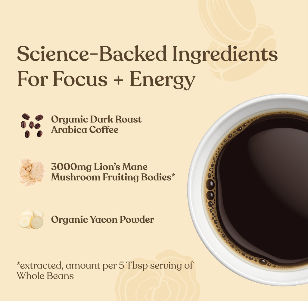 Focus Whole Bean Coffee - Whole Bean Organic Mushroom Coffee Beans