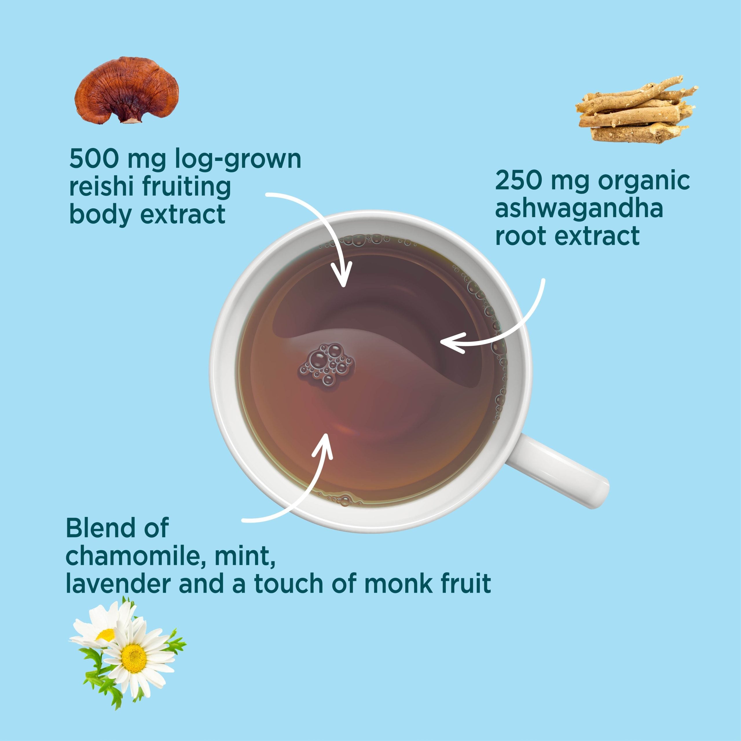 Calm Herbal Tea - Calm Functional Herbal Tea